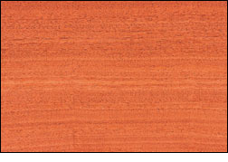 Afrormosia
