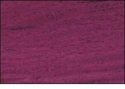 Amaranth