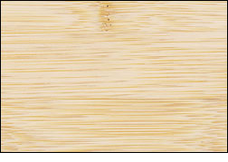 Bambusa