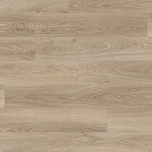 Дуб Амьен Светлый