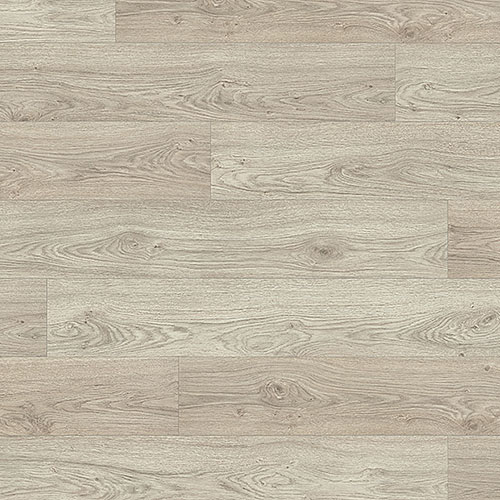 Дуб Азгил Серый