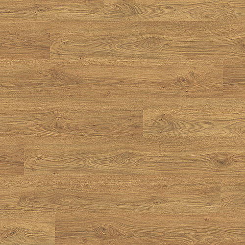 Дуб Азгил Медовый